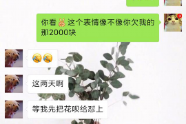 改则专业催债公司的市场需求和前景分析